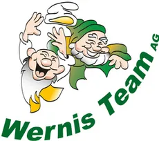 wernisteam1logo_326_212_889-229w